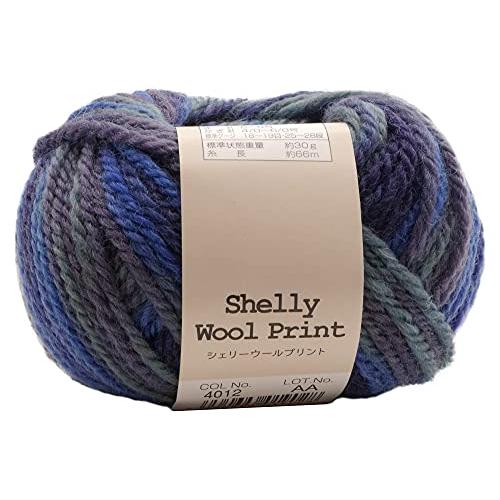 元廣(Motohiro) スキー 手編み毛糸 シェリーウールプリント 並太(5玉セット) Col.4012 | 