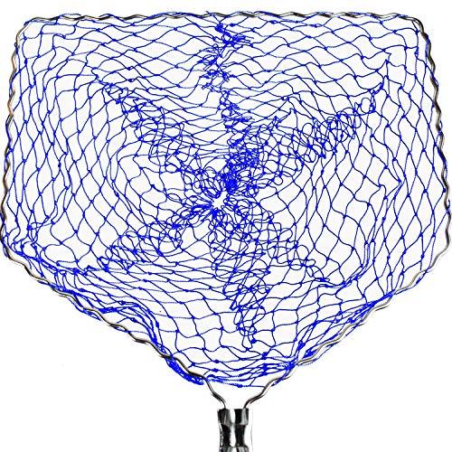 バタフライ(Butterfly) ボール・アミーゴ・ヘッド 70820 ブルー | 