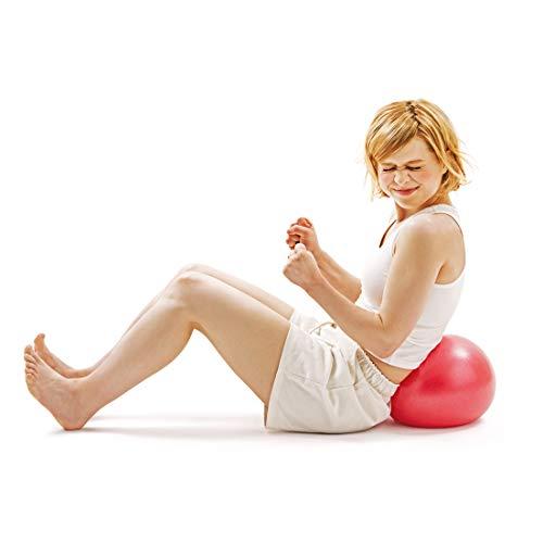 サクライ貿易(SAKURAI) エルガム(erugam) フィットネスボール 腹筋たま #54147 | 