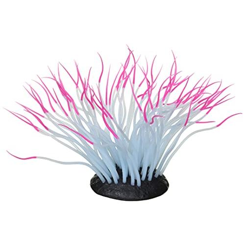 カミハタ いそぎんちゃくん ピンク M サイズ | 