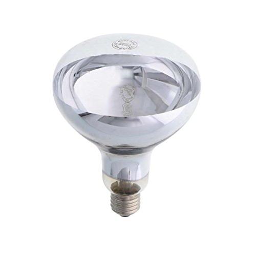 高儀 EARTH MAN リフレクターランプ 200W型 IL-200RFA | 