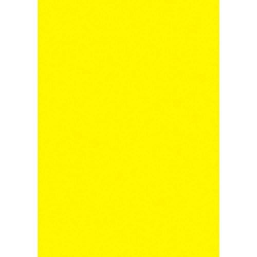 ササガワ(Sasagawa) タカ印 ポップ用紙 ケイコーポスター A4判 13-3185 レモン 10枚 | 