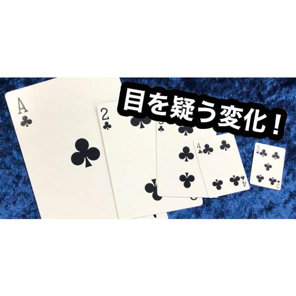 ワールド グレイテスト マジック サイズサプライズ M11871 | 