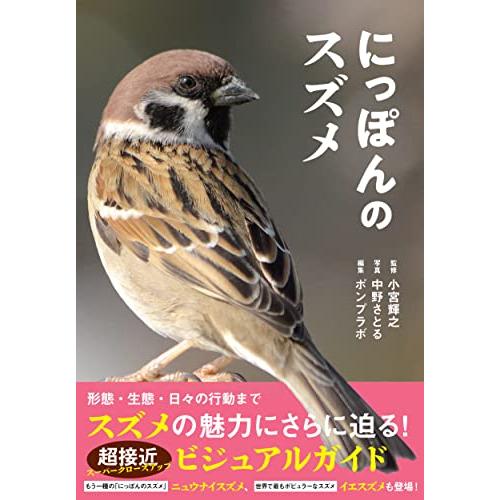 にっぽんのスズメ | 