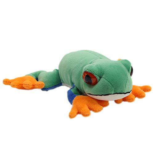 テイクオフ アニマニア アカメアマガエル 062124 | 