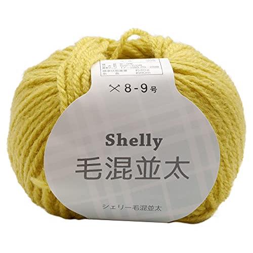 元廣 スキー 手編み毛糸 シェリー毛混並太(5玉セット) Col.508 | 