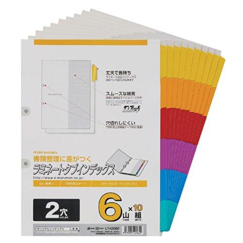 マルマン インデックス A4 2穴 インデックスシート 6山 10組 1冊 LT4206F | 