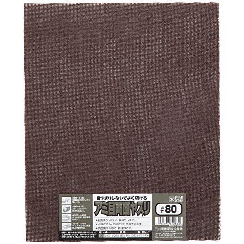 三共理化学 アミ目両面やすり #80 | 