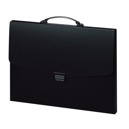 リヒトラブ キャリングケース A3 F912 | 