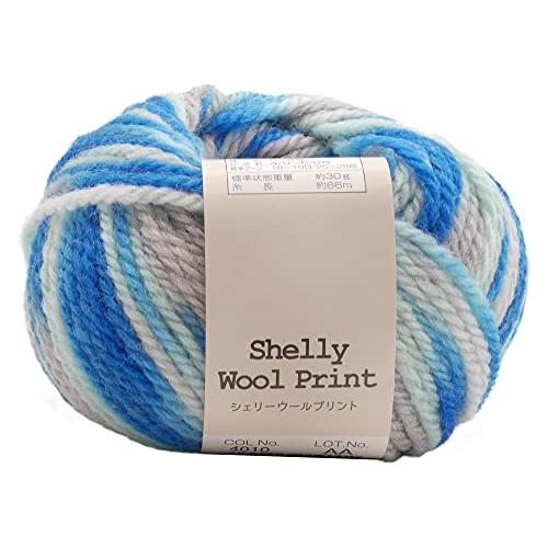 元廣(Motohiro) スキー 手編み毛糸 シェリーウールプリント 並太(5玉セット) Col.4010 | 