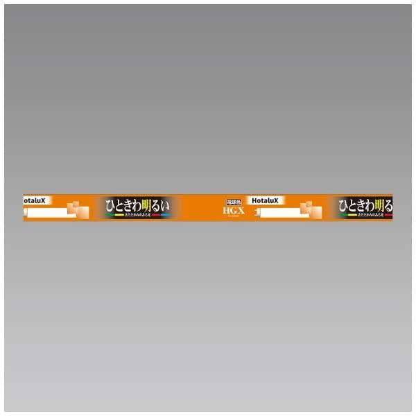 ホタルクス FL10EX-L-X2 電球色 | 