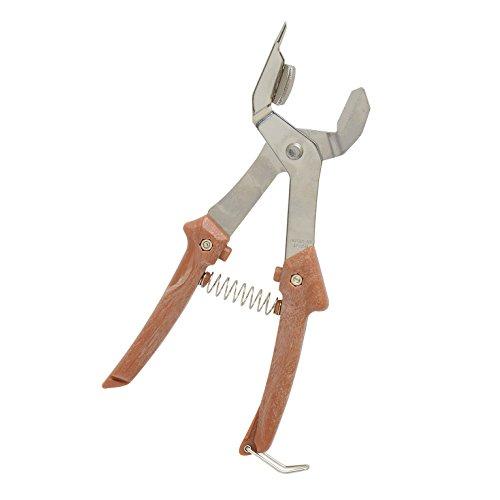 高儀(Takagi) らくらくくるみ割り器 シルバー 220x64x23mm 高儀 たかぎ TAKAGI | 