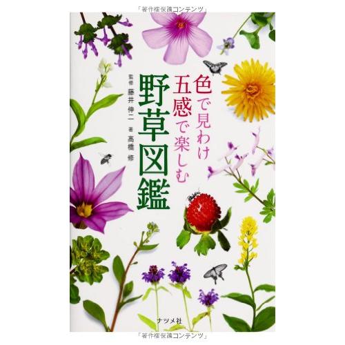 色で見わけ五感で楽しむ野草図鑑 | 