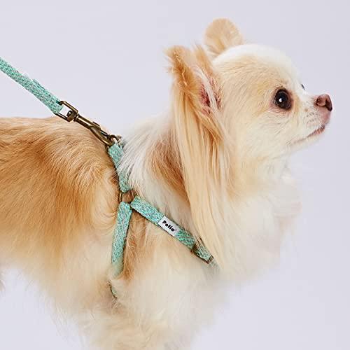 ペティオ (Petio)犬用引き紐 フラッシュソフトリード SS ブルー | 