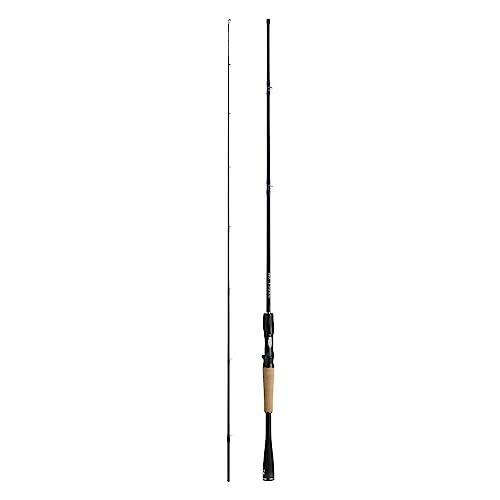 ダイワ(DAIWA) 21 ブレイゾン C66M 1ピース ベイトキャスティングモデル | 
