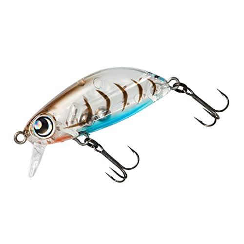 ダイワ(DAIWA) アジング メバリング 月下美人 源五郎 抱卵エビ Z36F ルアー | 