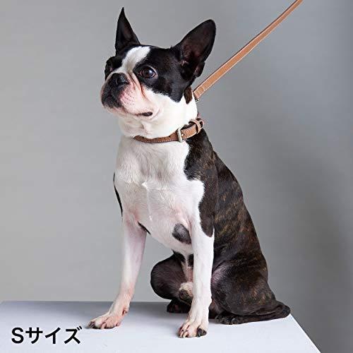 ペティオ (Petio) フラッシュリード レザーブラウン 犬 S サイズ | 