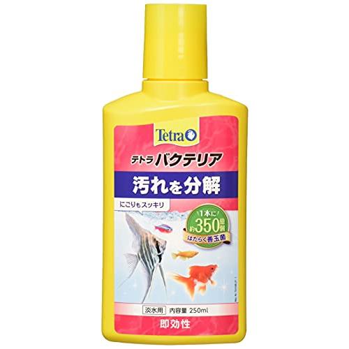 テトラ (Tetra) バクテリア 250ミリリットル 水槽の汚れを分解するお掃除バクテリア添加剤 はたらく善玉菌 にごりもスッキリ 長期保存可 | 