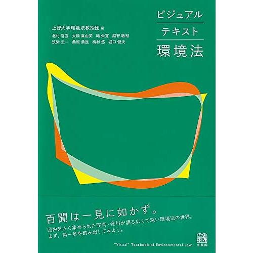 ビジュアルテキスト環境法 | 