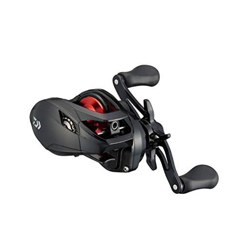 ダイワ(DAIWA) ベイトリール 21 PR100L | 