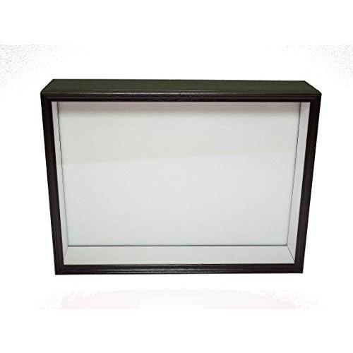 シーラ箱 （標準）昆虫標本用品標本箱 | 