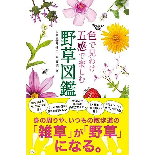 色で見わけ五感で楽しむ野草図鑑 | 