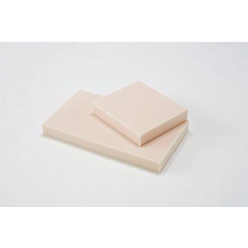 ダンノ(DANNO) 吸水スポンジ 幅50×長さ28×厚み5cm D143 | 