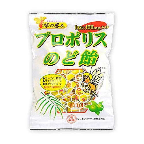 蜂の恵み プロポリスのど飴 80g×5袋セット | 