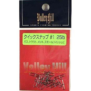 バレーヒル(ValleyHill) クイックスナップ #1 | 