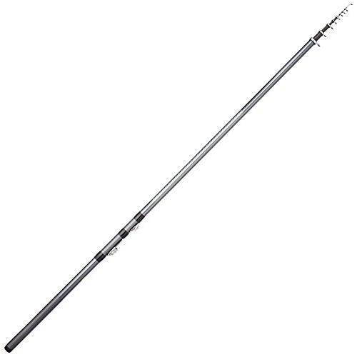シマノ(SHIMANO) 磯竿 17 ホリデー磯 2号 450 サビキ釣り | 