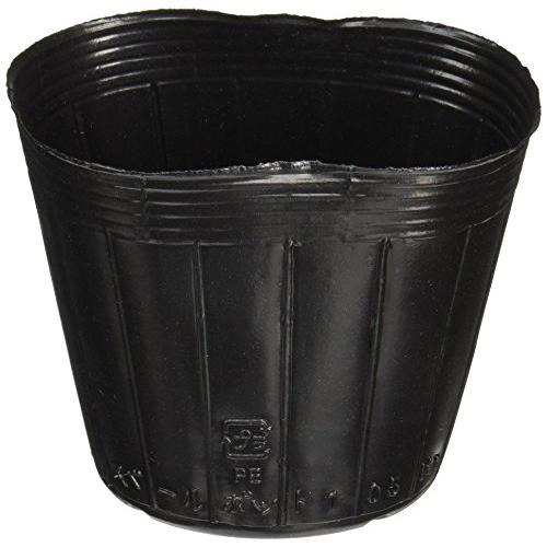 キンボシ(Kinboshi) ゴールデンスター 育苗用品 ポリポット105mmφ 7058 | 