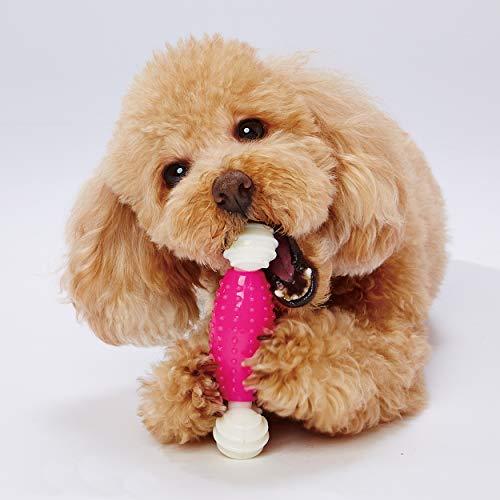 アドメイト (ADD. MATE) Enjoy かむボーン スティック | 