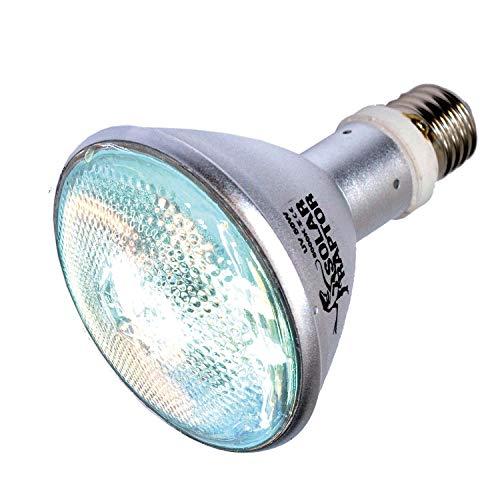 ゼンスイ ソラリウム 交換球 50W : 川西ストア - 通販 - Yahoo