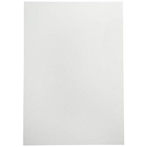 アピカ 板目表紙 みの判 100枚入 ITA3 | 