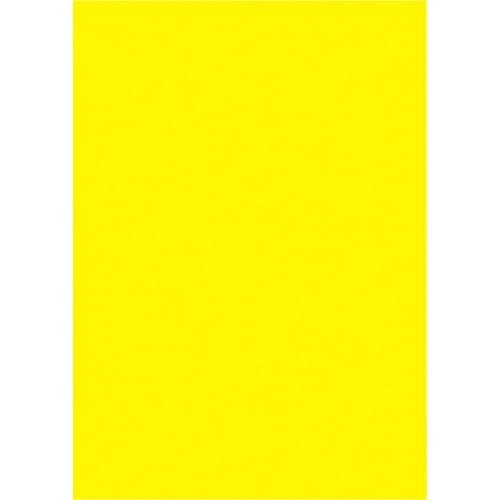タカ印 ケイコーポスター 13-3175 厚口 B5判 レモン | 