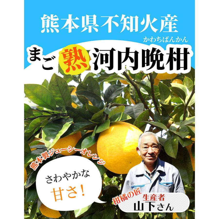 最高傑作！山下さんの愛情で育ったまご熟河内晩柑 訳あり 5kg  送料無料 和製グレープフルーツ 文旦 ジューシーオレンジ 熊本県産｜hapiveg｜02