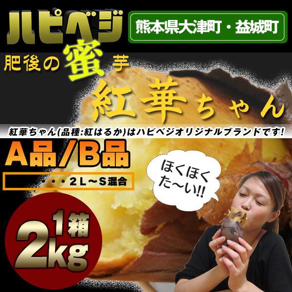 紅はるか2kg　肥後の蜜芋‘‘紅華ちゃん””焼いても、蒸しても何でもＯＫ！！熊本県大津町・益城町産 | 