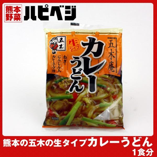 もっこす親父おすすめ 熊本の五木のカレーうどん【220g(めん200g)】同梱専用　※こちらの商品は野菜セット購入した方のみの同梱商品になります。 | 