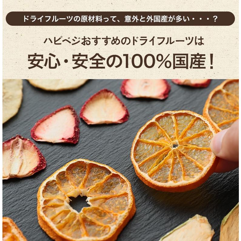 【メール便送料無料】おいしさをギュッと濃縮♪ 無添加ドライフルーツ【30g×1袋】 |  | 02