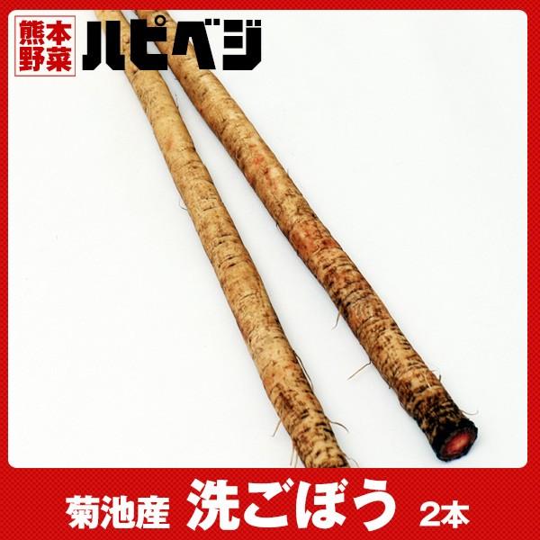 洗ごぼう【2本】同梱専用　※こちらの商品は野菜セット購入した方のみの同梱商品になります。 | 