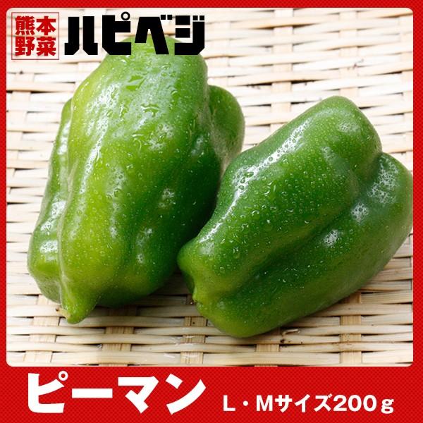 ピーマン【L・Mサイズ2玉〜3玉】同梱専用　※こちらの商品は野菜セット購入した方のみの同梱商品になります。 | 