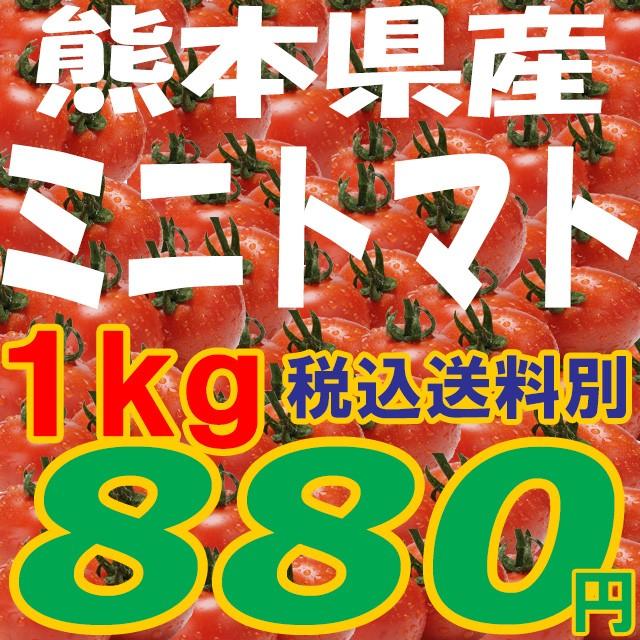 ミニトマト ピュアチェリー チカ2品種混合 1kg 九州 野菜 熊本 新鮮 安全 Minitomato 1kg ドキッとくまもと丸かじりハピベジ 通販 Yahoo ショッピング