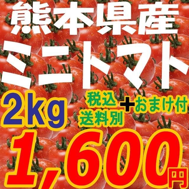 ミニトマト九州 野菜 熊本 新鮮 安全 Belle Ile Nature Org