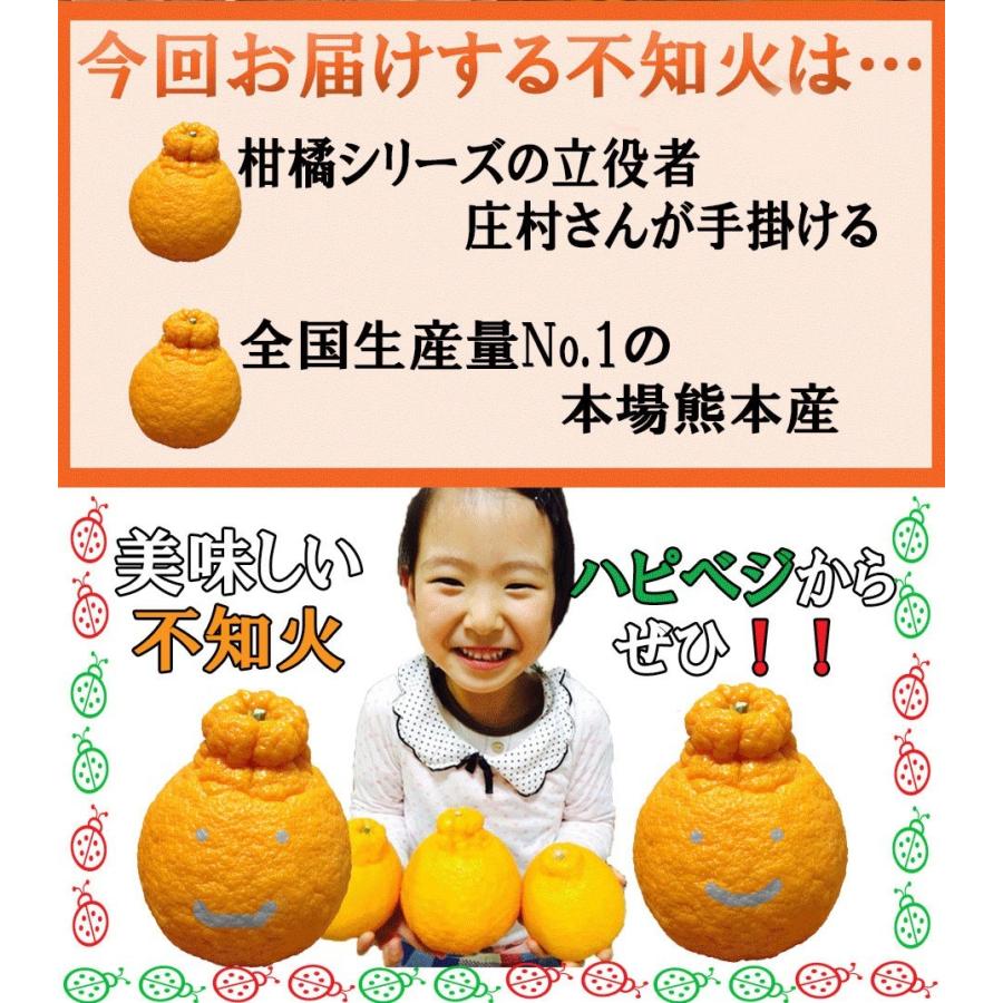 むるたん 熊本県産 不知火 10キロ 訳あり10kg】最高傑作！庄村さんが作る熊本県不知火地区特産