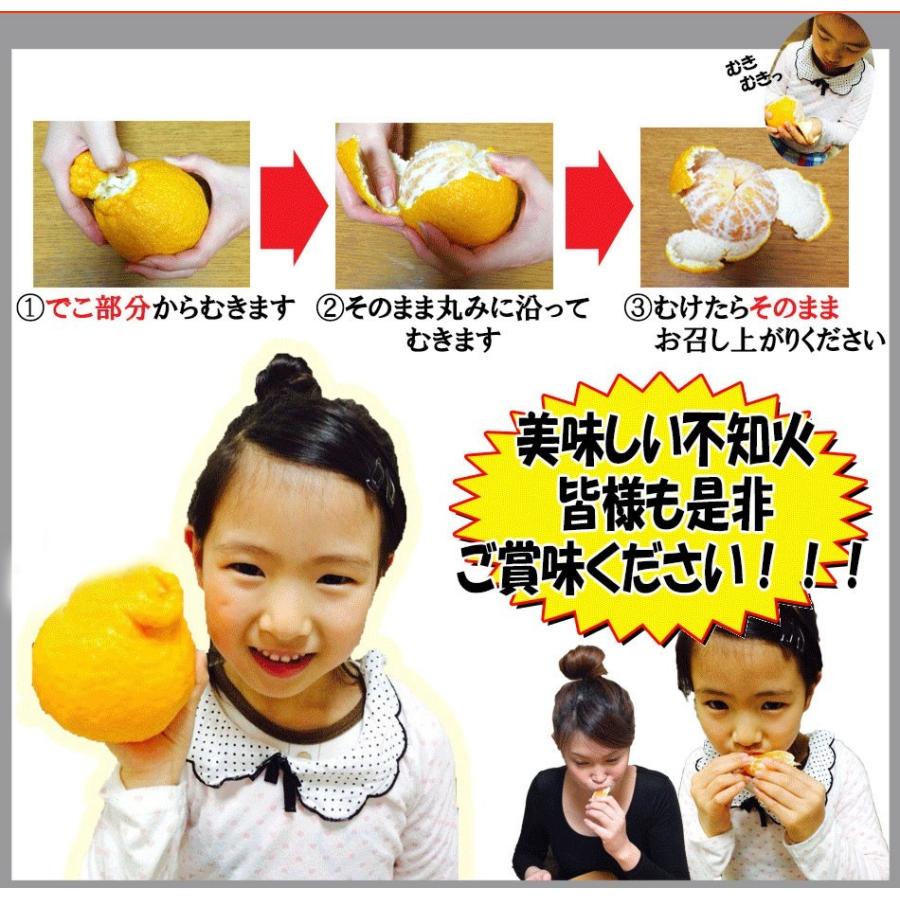 むるたん 熊本県産 不知火 10キロ 訳あり10kg】最高傑作！庄村さんが作る熊本県不知火地区特産