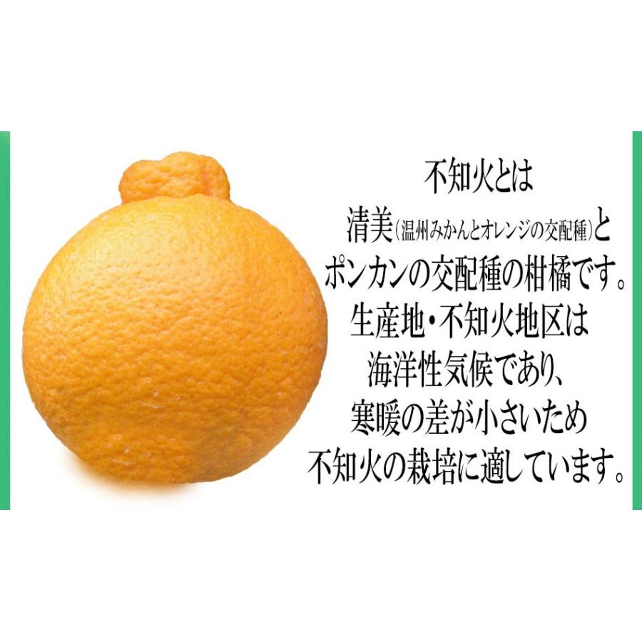 訳あり10kg】最高傑作！庄村さんが作る熊本県不知火地区特産