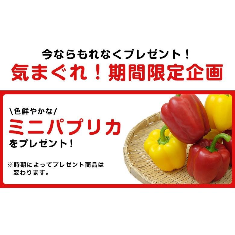 熊本農家がんばるばい　野菜セット 野菜詰め合わせ　イケメン野菜セット12種類プラスおまけ野菜付｜hapiveg｜04