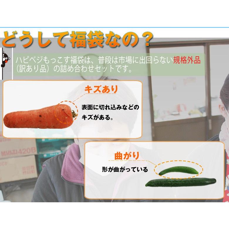 熊本農家がんばるばい応援 野菜セット 野菜詰め合わせ ハピベジもっこす福袋 どっさり野菜箱いっぱい詰め込みます!|hapiveg|03