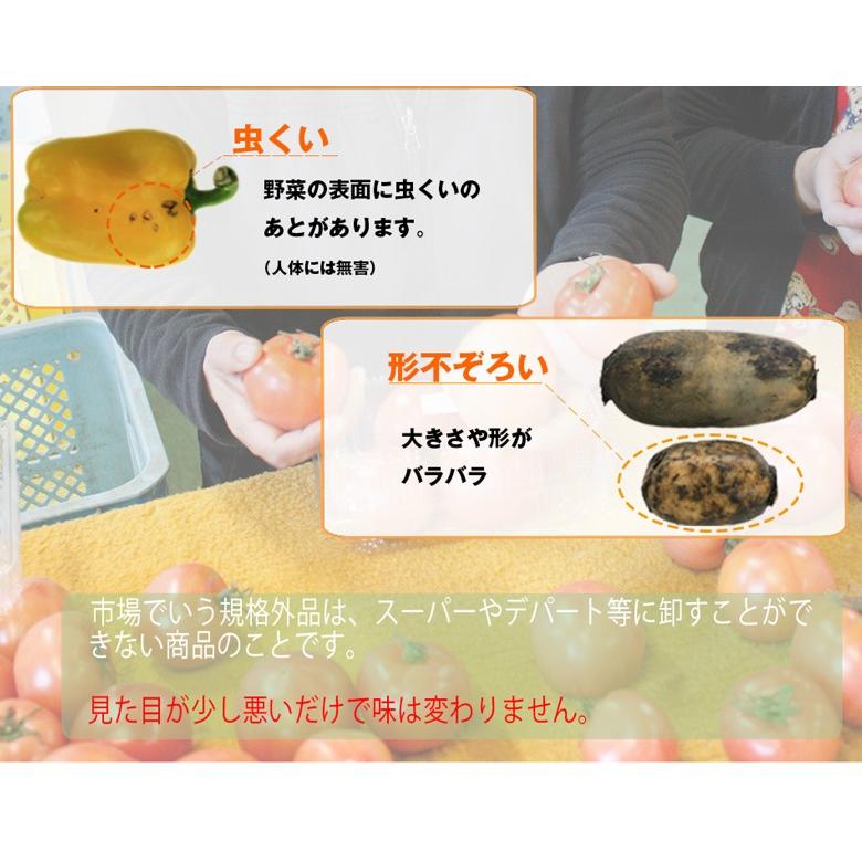 熊本農家がんばるばい応援 野菜セット 野菜詰め合わせ ハピベジもっこす福袋 どっさり野菜箱いっぱい詰め込みます!|hapiveg|04