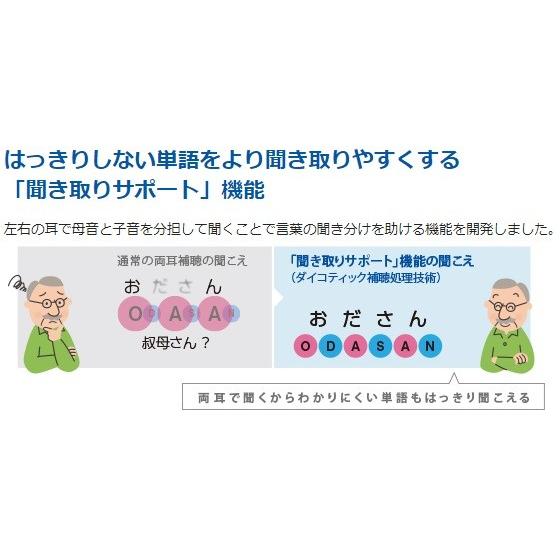 Panasonic（パナソニック） 軽度〜高度難聴まで幅広く対応充電式